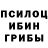 Псилоцибиновые грибы мухоморы tmlkbober