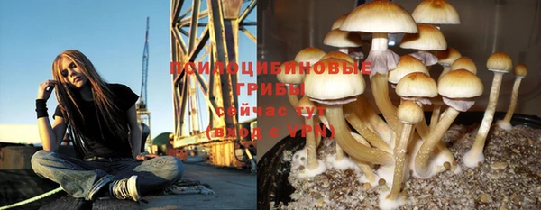 мет Протвино