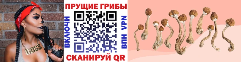 Галлюциногенные грибы MAGIC MUSHROOMS  Струнино 